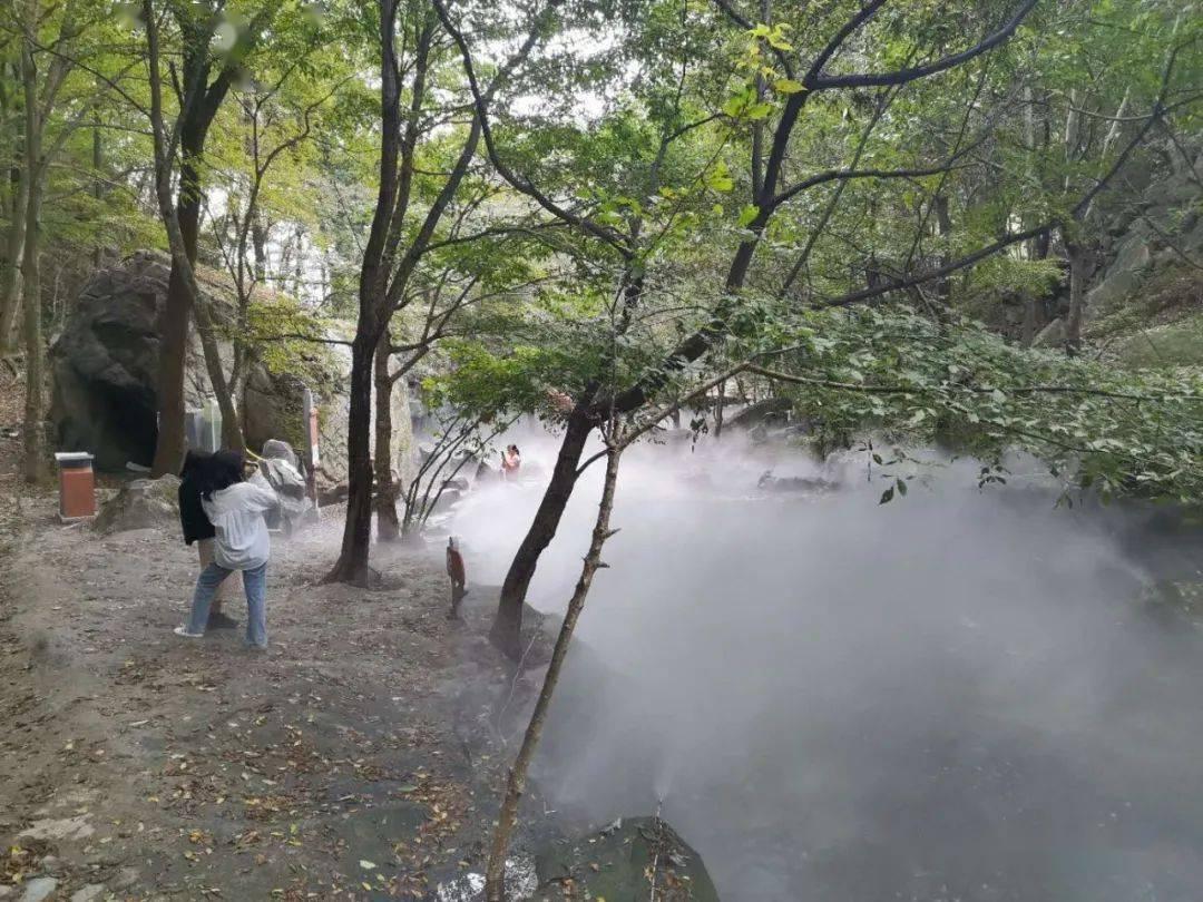 如何让大棚西红柿更好吃？他们“上了”个气象小设备！｜新春走基层