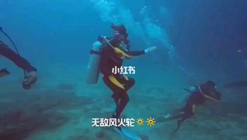 病菌猎人