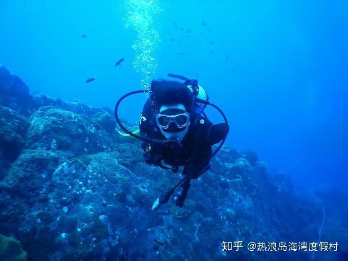 冬青奥会 | 他们为国争光的同时 还得写作业