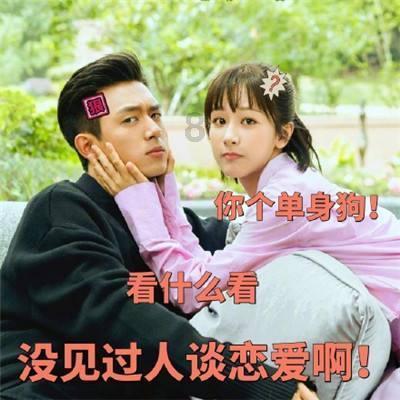 虫虫助手下载