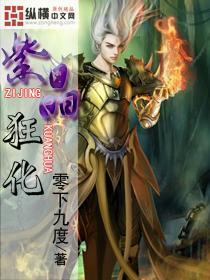 豆娃足球冒险